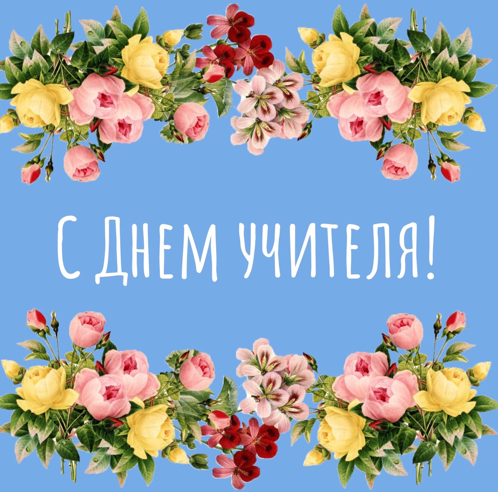 Дорогие учителя!